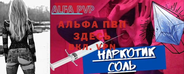 амф Снежногорск