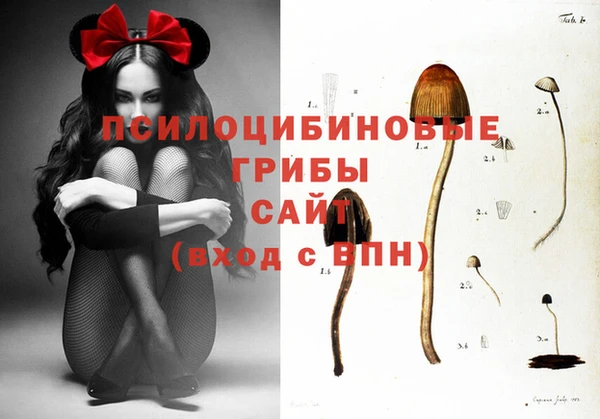 стафф Абдулино