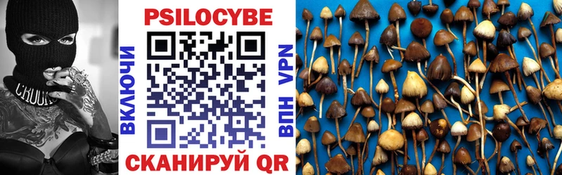 даркнет сайт  Кедровый  Псилоцибиновые грибы GOLDEN TEACHER 