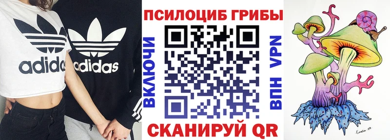 Галлюциногенные грибы мицелий Кедровый